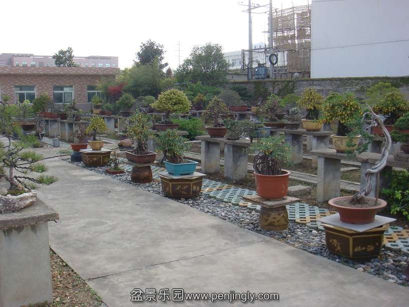 DSC08132.JPG