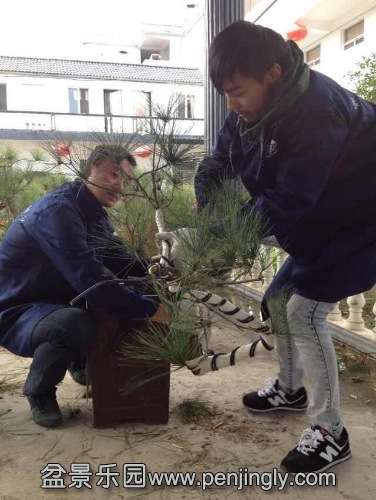 image.jpg