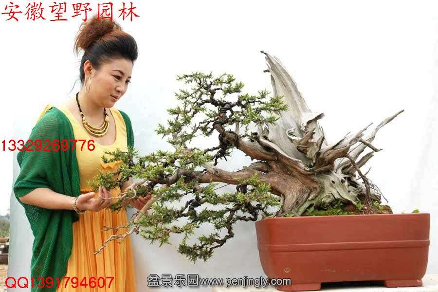72B25E11C6EE4A30D9548E3FA8B9C257.jpg