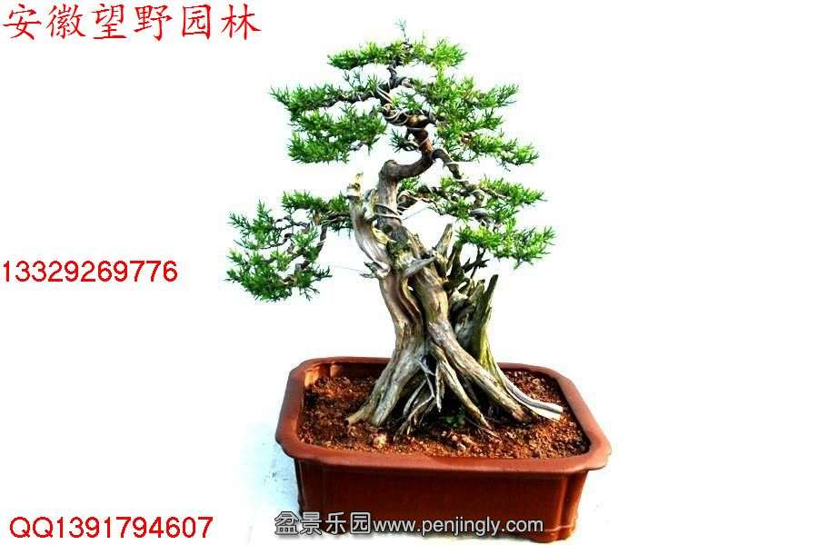 719EF99203A4C23ED1E2F0EE6BF37A79.jpg