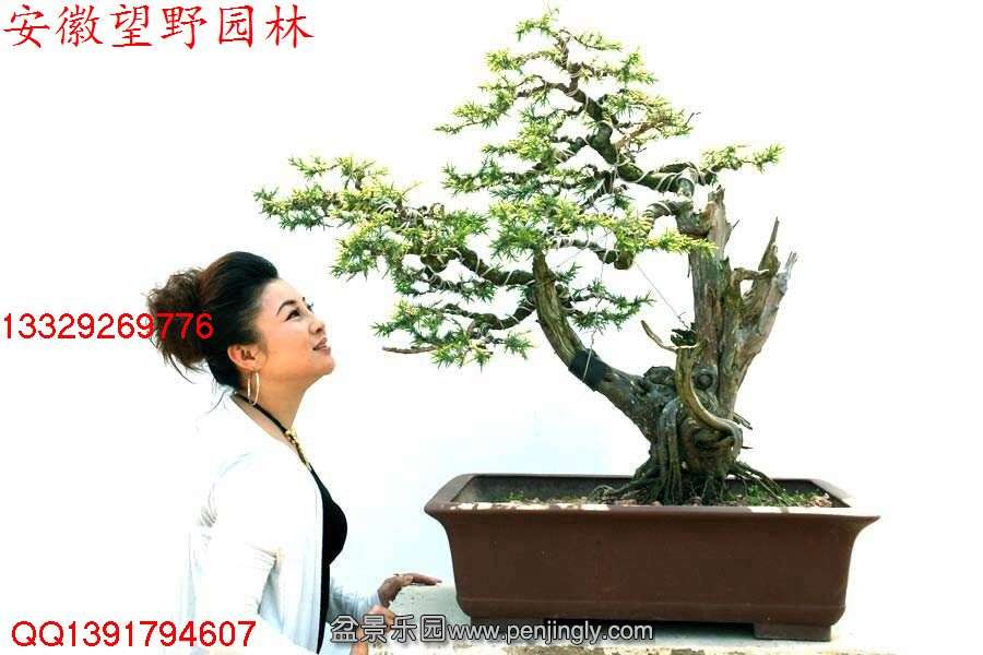 CD15B40C0255ACB11FB7FC9968E2C180.jpg