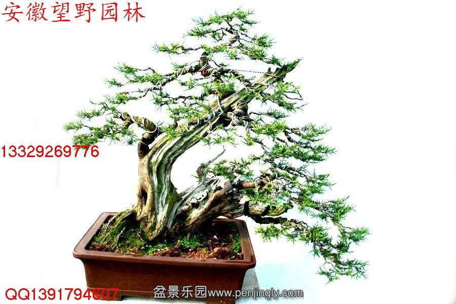 DB28628CD893D64C6845ECFDB65FF7E7.jpg