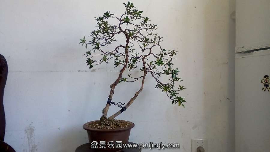 IMG_20141104_131555.jpg