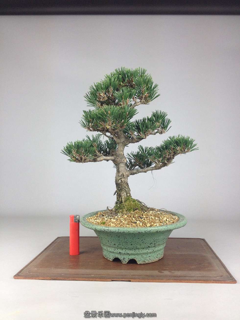 30cm3cm