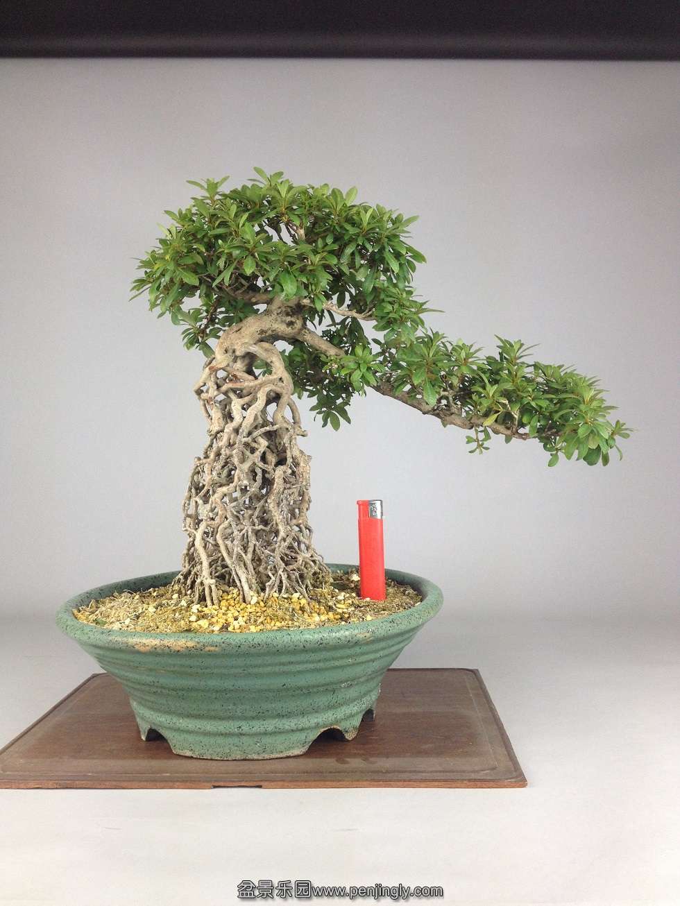 35cm40cm