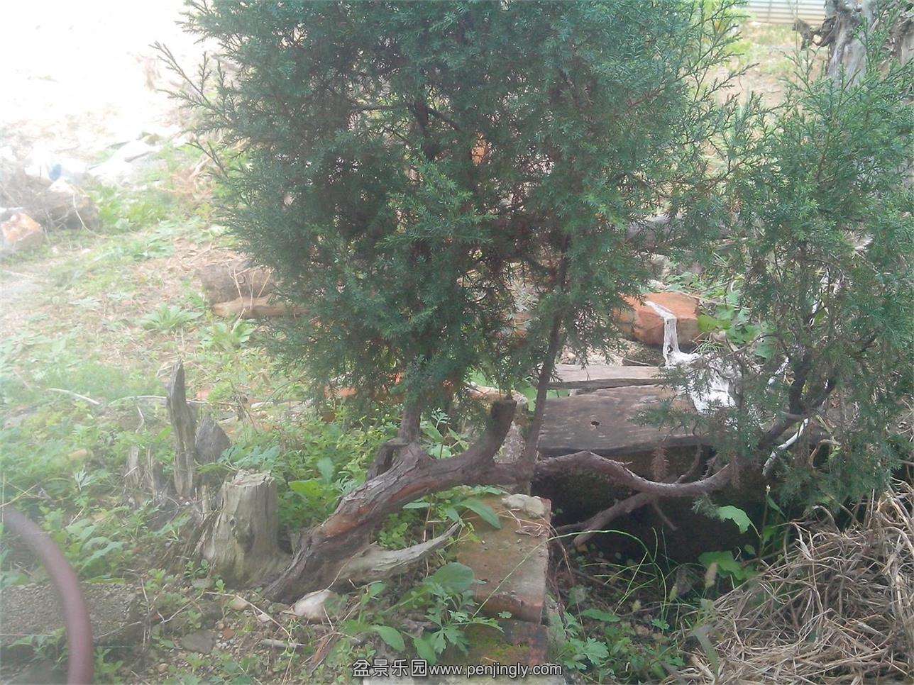 IMG20141102005.jpg
