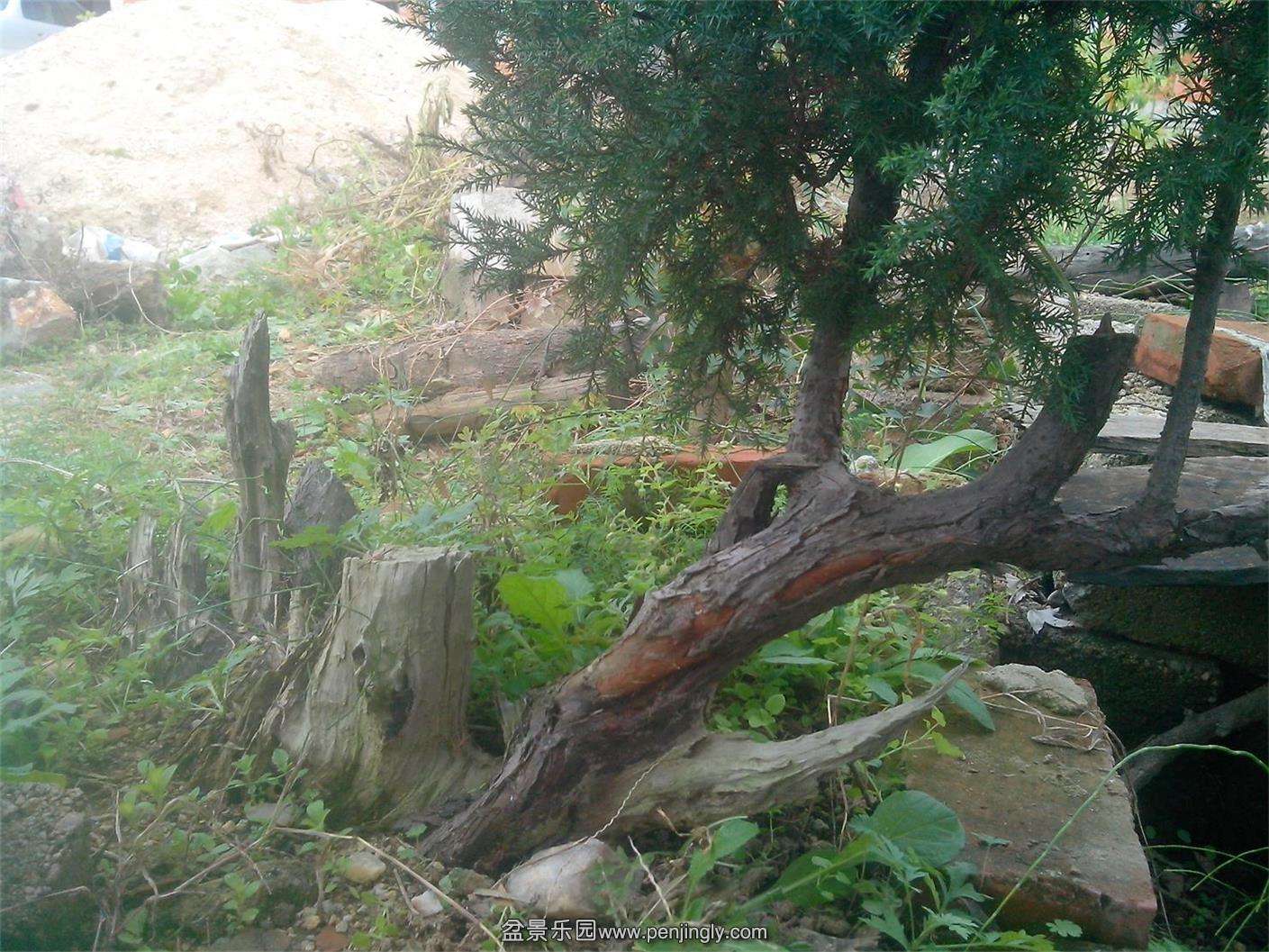 IMG20141102006.jpg