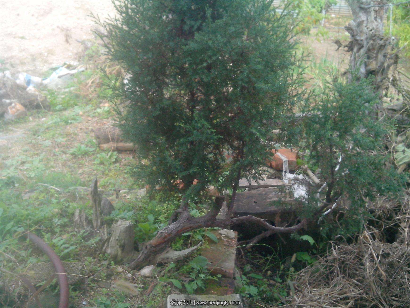 IMG20141102007.jpg