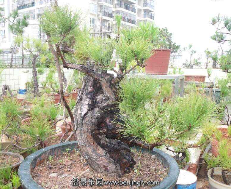 QQͼƬ20141105163940.jpg