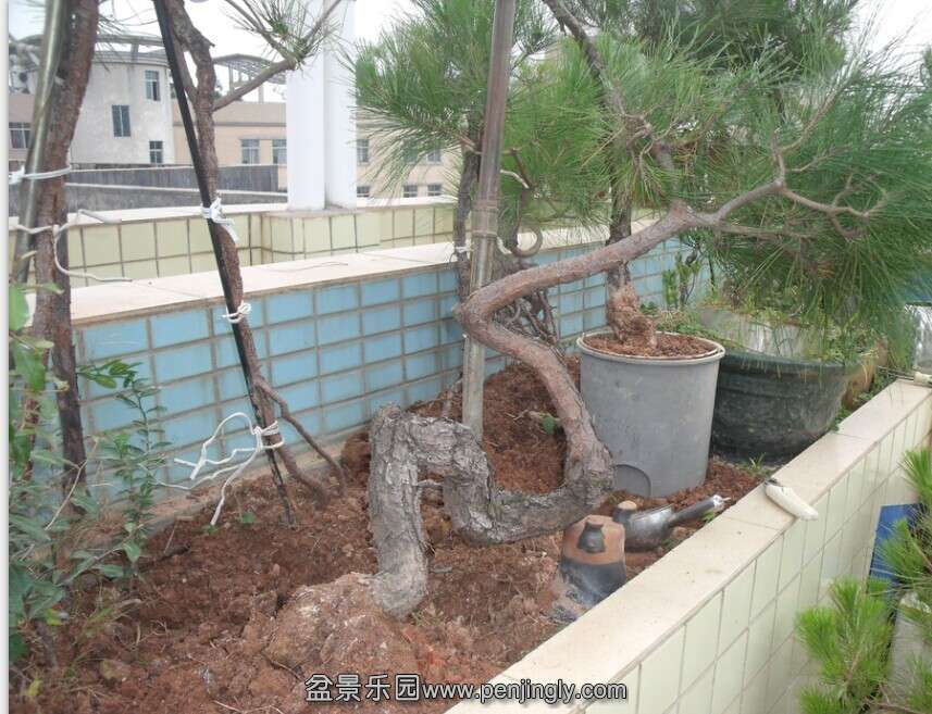 QQͼƬ20141105164004.jpg