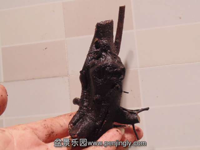 DSC05216.JPG