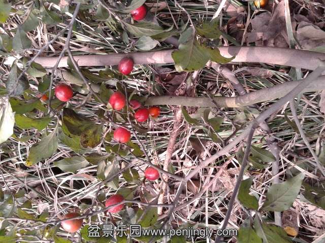 20141102_120902.jpg