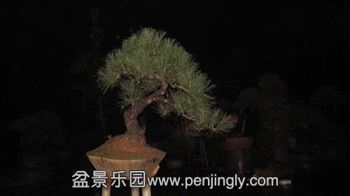IMG_8084_.jpg