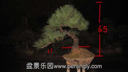 IMG_8093_.jpg