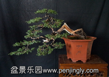 20141106_135843_1.jpg
