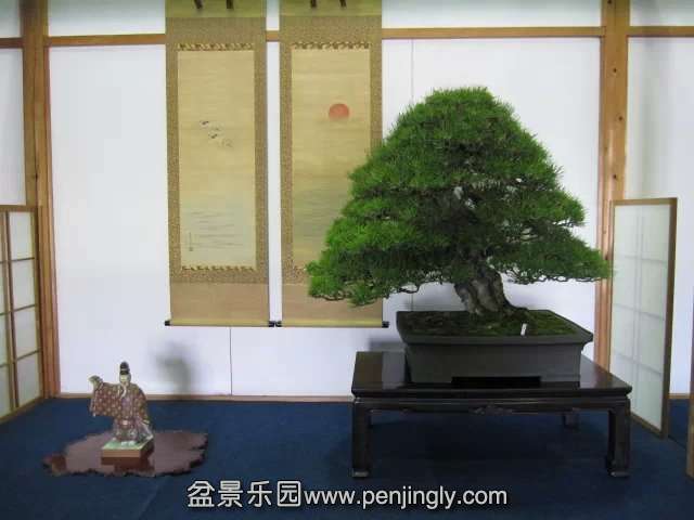 psbCA09EF14.jpg