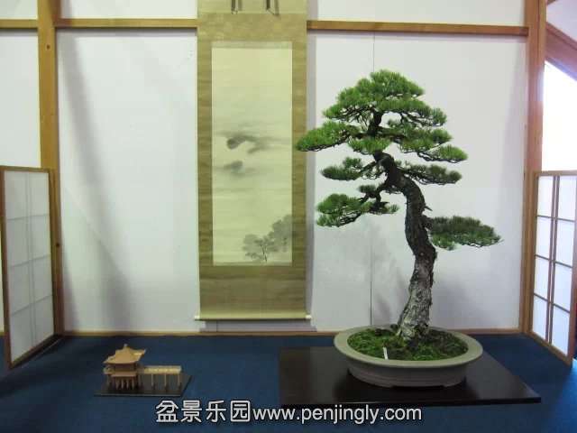 psbCAKTOF83.jpg