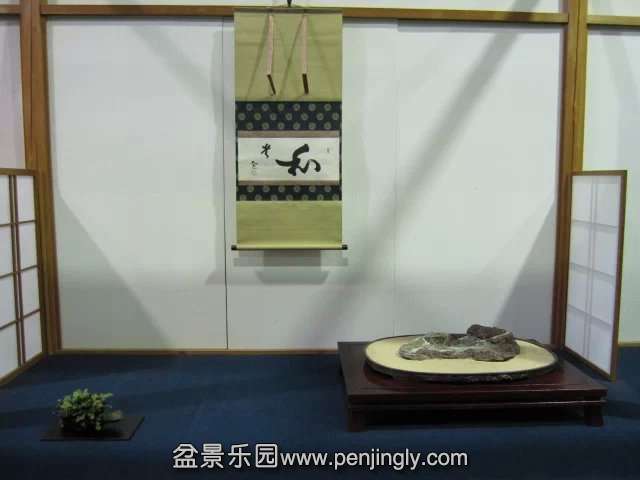 psbCAMED32D.jpg