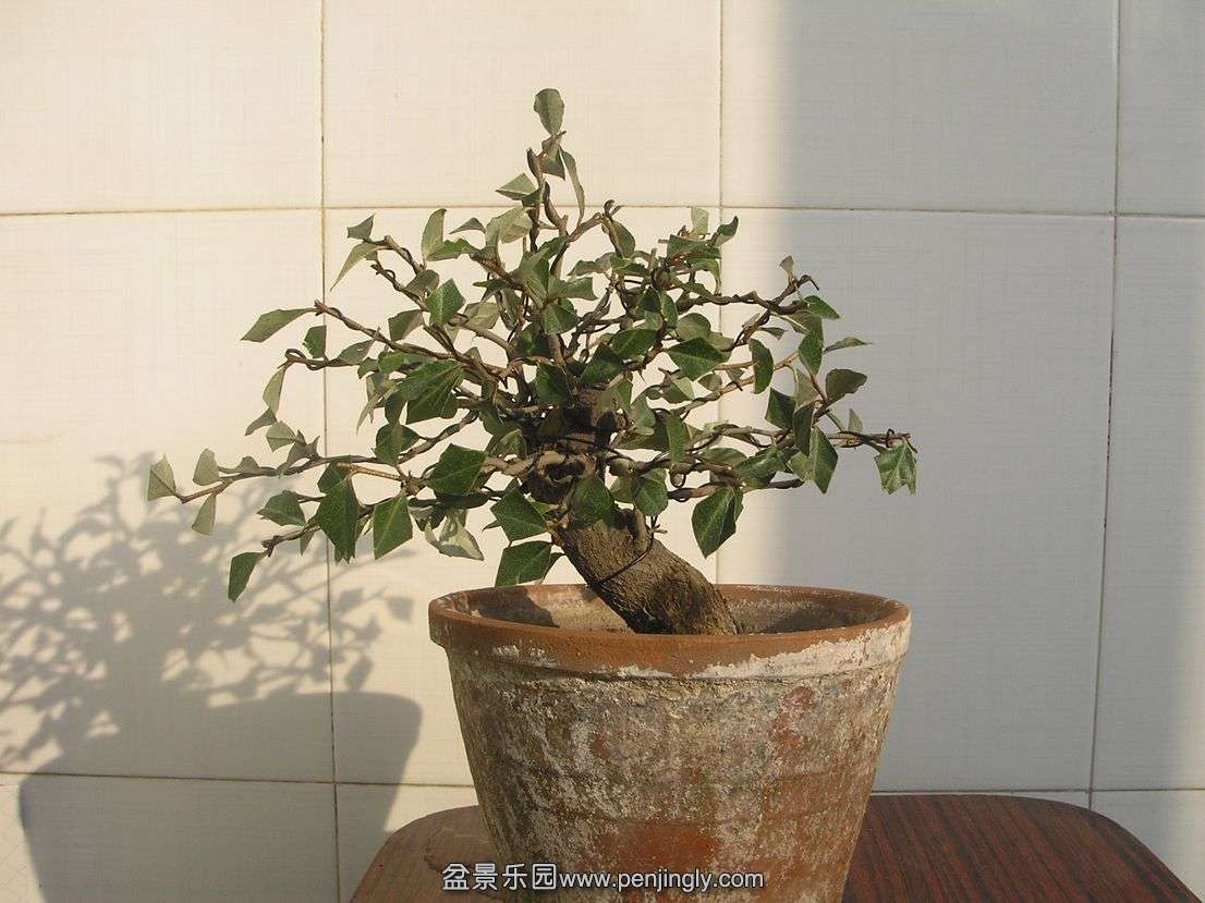 PB086194.JPG