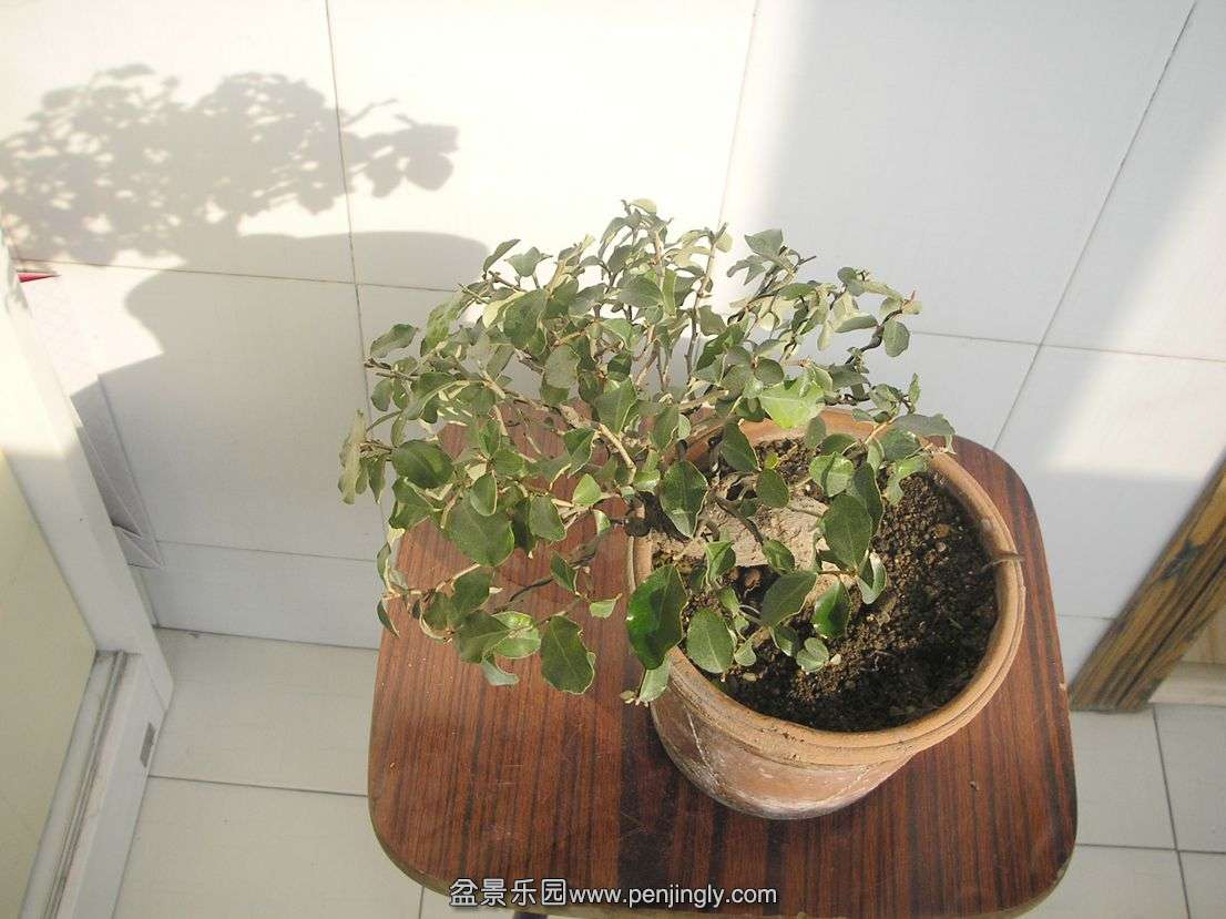 PB086193.JPG