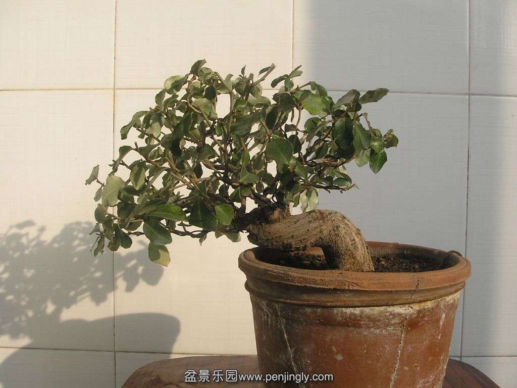 PB086192.JPG