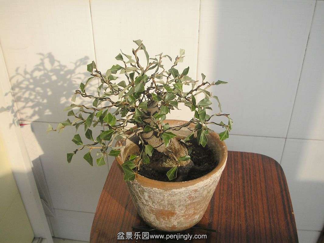 PB086195.JPG