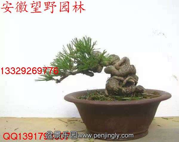 3B32589C8389F9689D689F9B817EF692.jpg