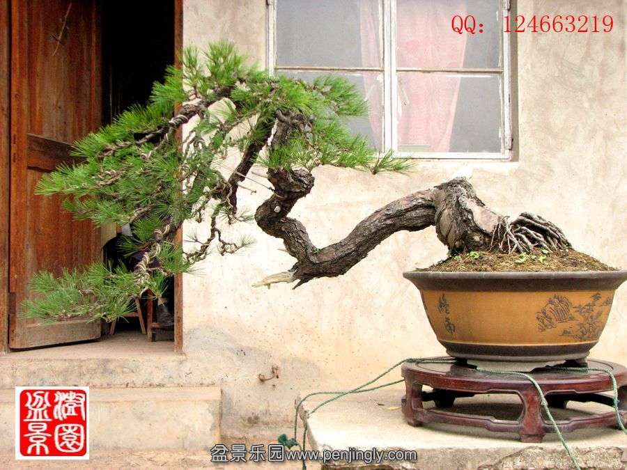 IMG_0409_.jpg