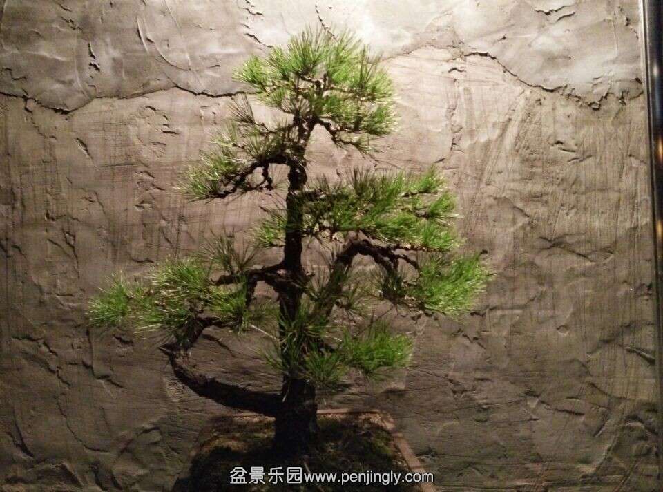 QQͼƬ20141110200023 - .jpg