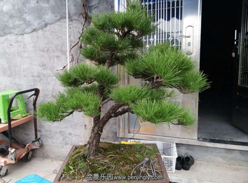 QQͼƬ20141110200045 - .jpg