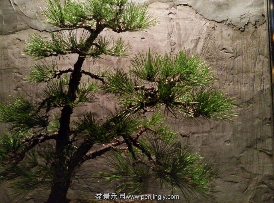 QQͼƬ20141110200018.jpg