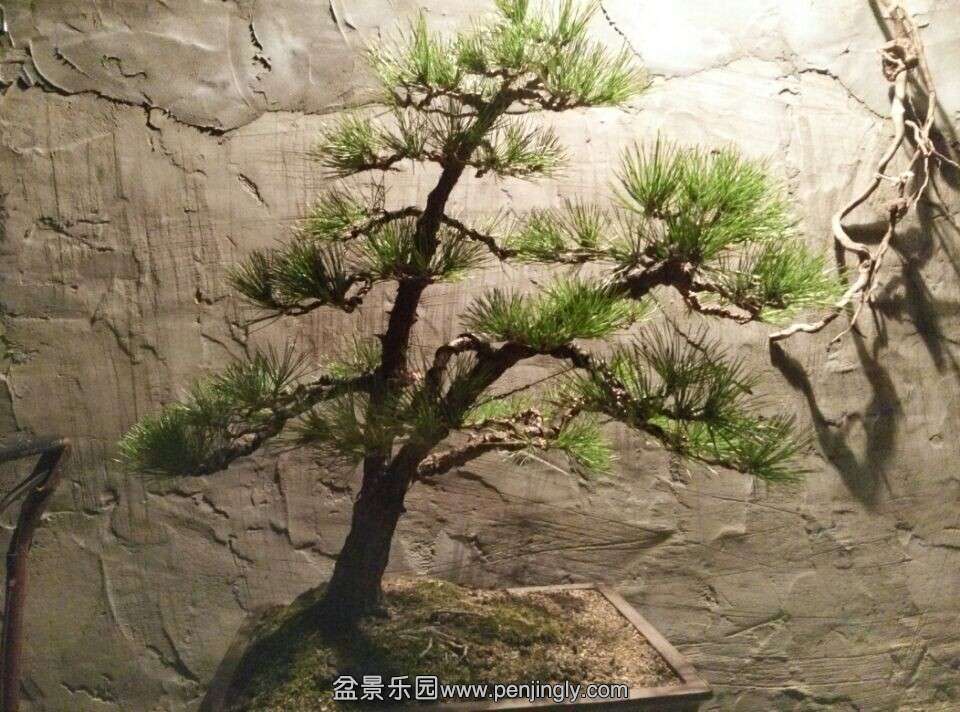 QQͼƬ20141110195953.jpg