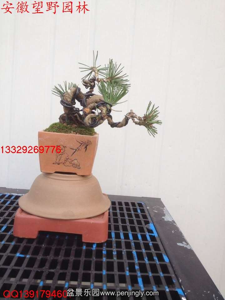 6AEE03ECA919538981C3703D80DA30DF.jpg