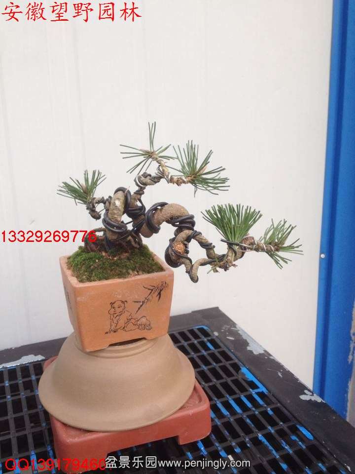 C784CA9E08CB6F36FEB1BDF818B1B617.jpg