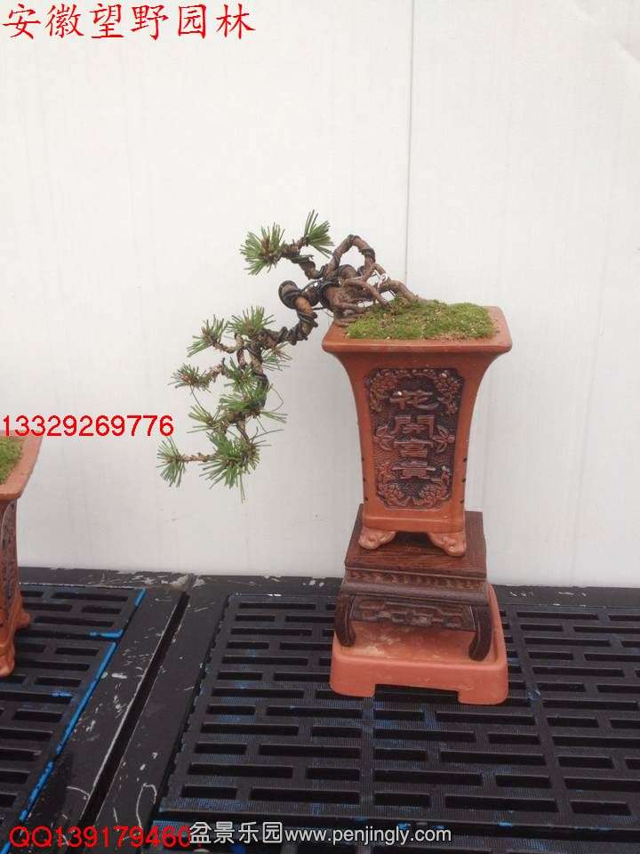 D2243B63434102D62E07BF01AB9DEA21.jpg
