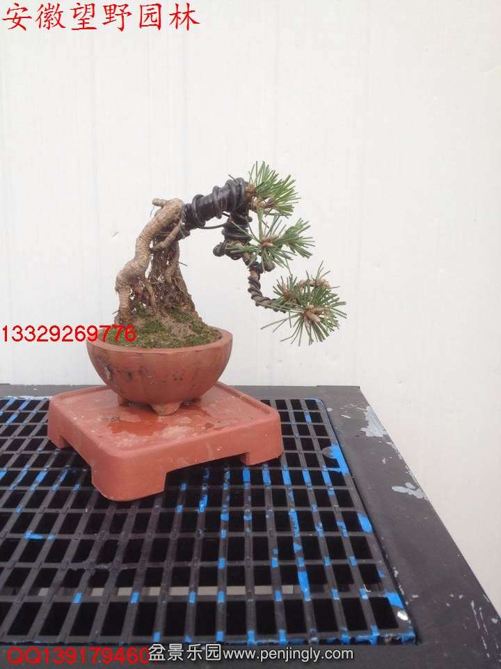 DA36F9E200C96BC4BD2E8A90CAB48B55.jpg