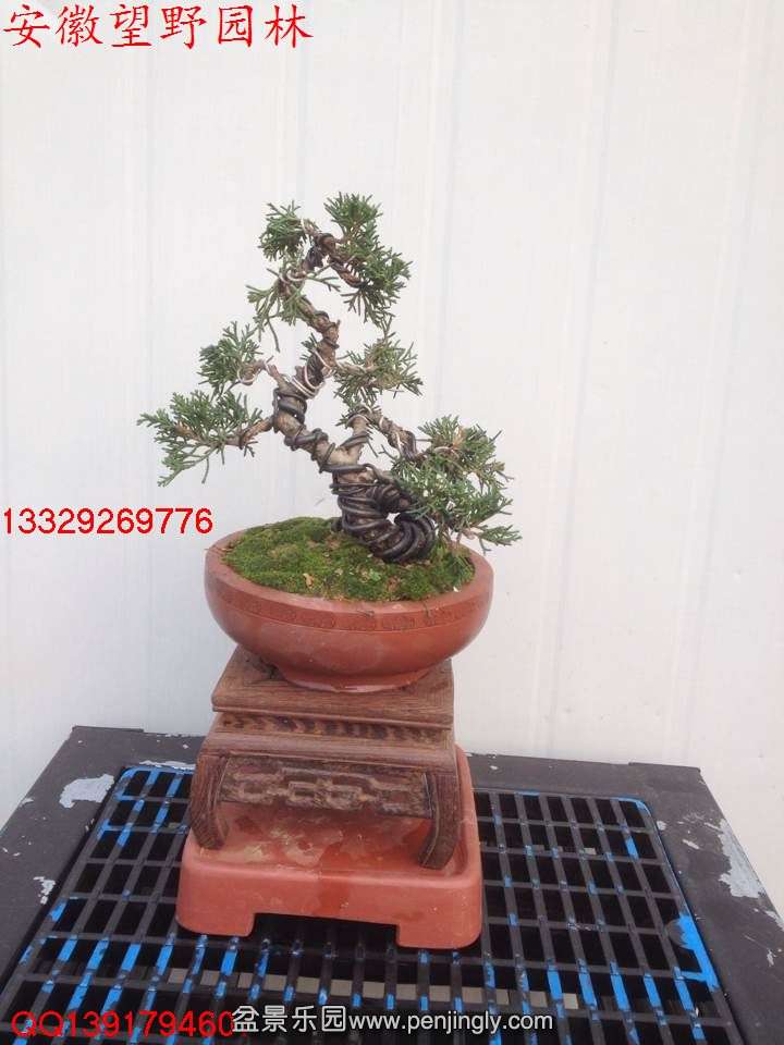 DD8CE49D4374753ADF4BF5DFC3F01213.jpg