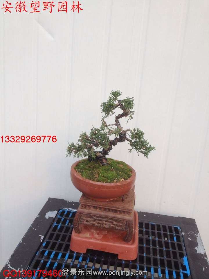 E9F4BAF0CDA492F8714CD61EBDE7CD18.jpg