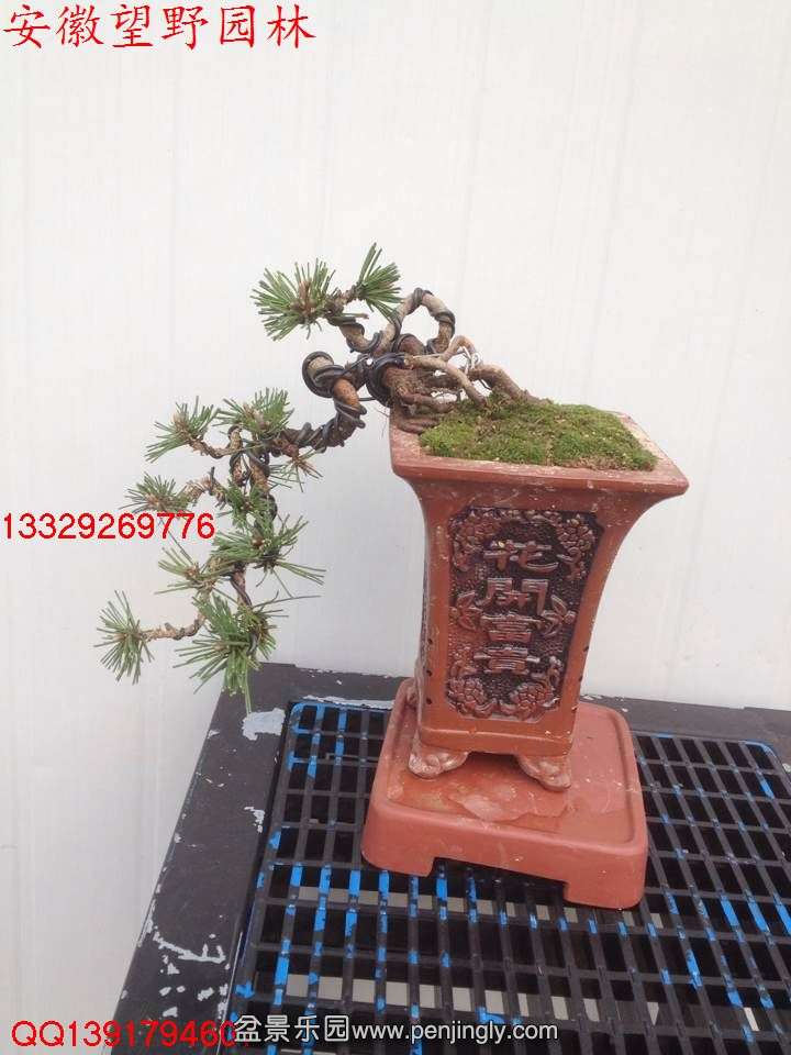 F8DE56C79A2002CADB508F0FF81E7D5D.jpg