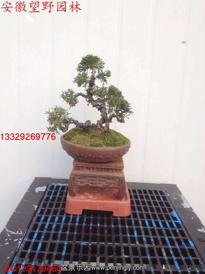 FECC24F3597D71EE9731BBD995884D5E.jpg