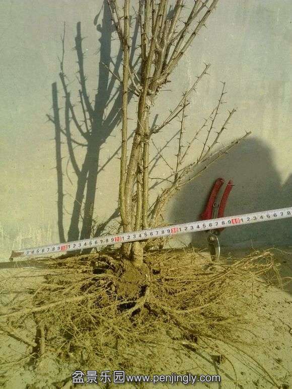 ͽȸ_ֻľ_ٶ_imgsrc.baidu.com_6_(2).jpg
