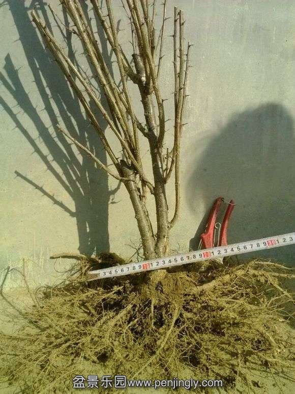 ͽȸ_ֻľ_ٶ_imgsrc.baidu.com_7.jpg