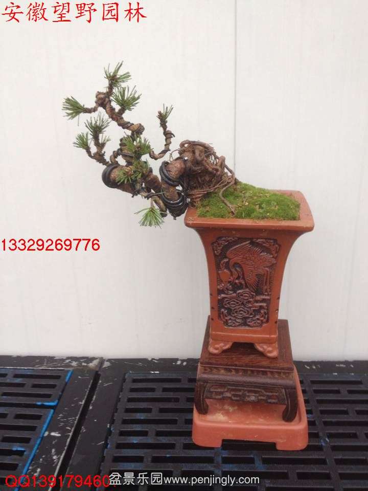 00B27EF225489EEF2B91DD2CB7038A0C.jpg