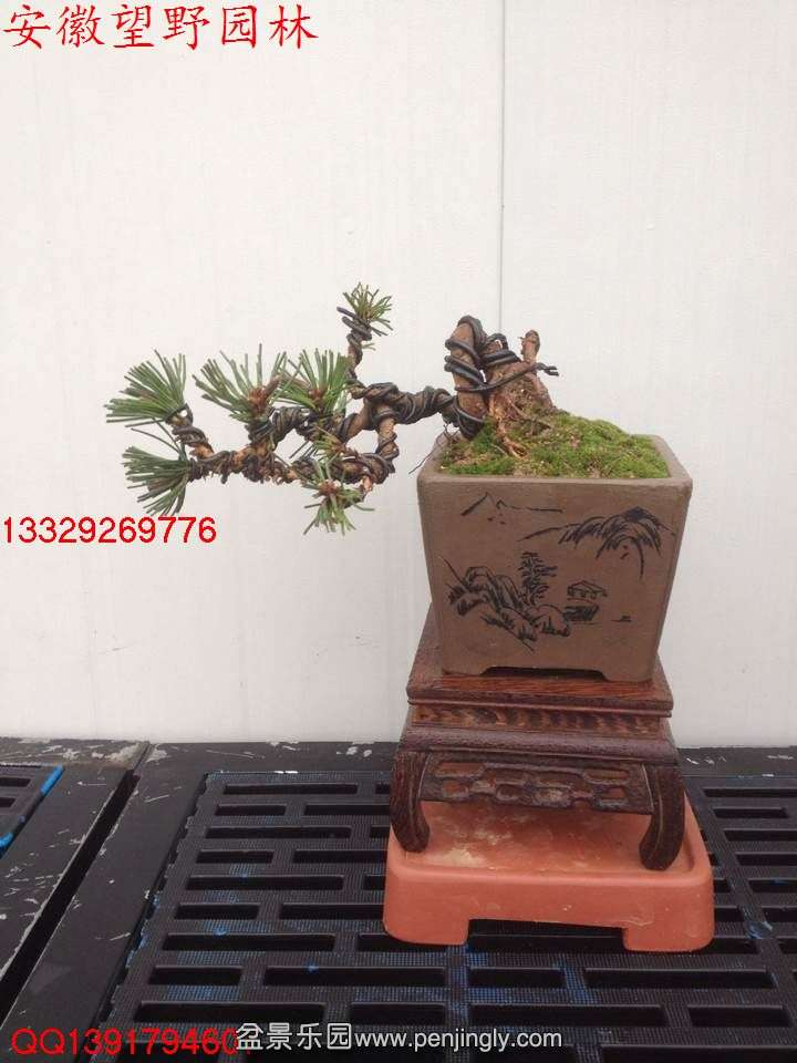70BB11E388B95EDE7682024FDF691F4E.jpg