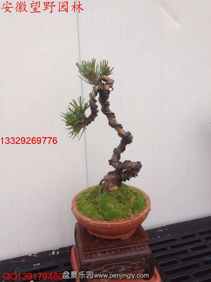 234F5CF241CE2989DF85A640F52D6EE9.jpg