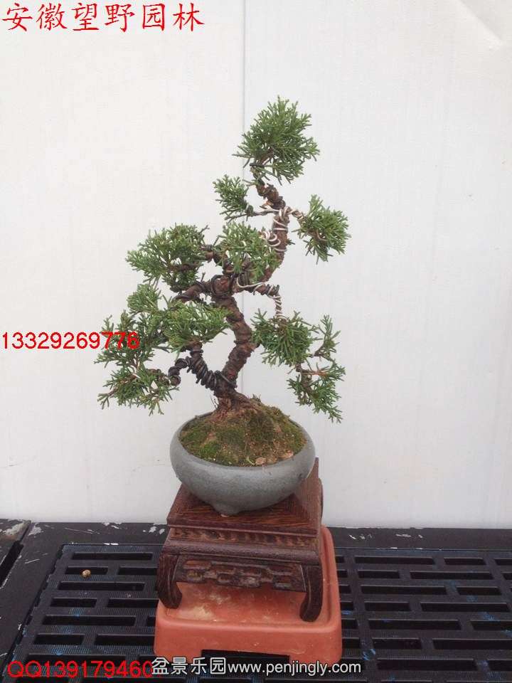 A074DD93C39E917B6C5B2C17E7418383.jpg
