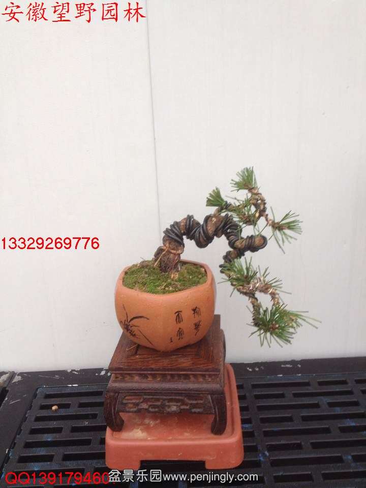 B300CECF06C651FCFEF2ED1DAC9D4C92.jpg