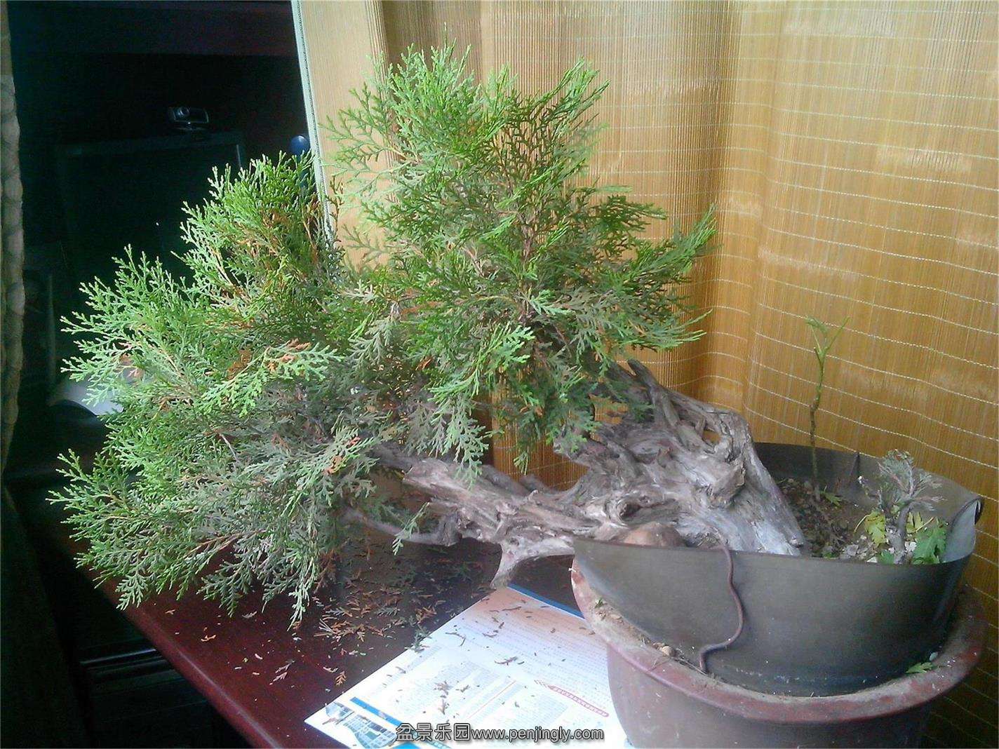 IMG20140813001_ͼ.jpg