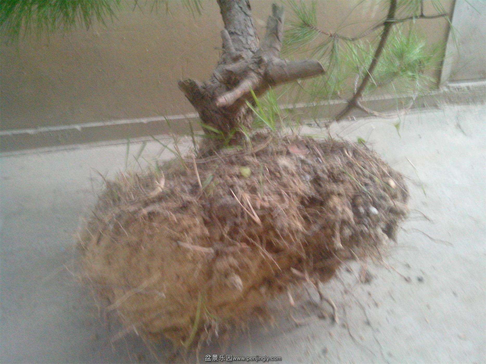 IMG20141112011.jpg