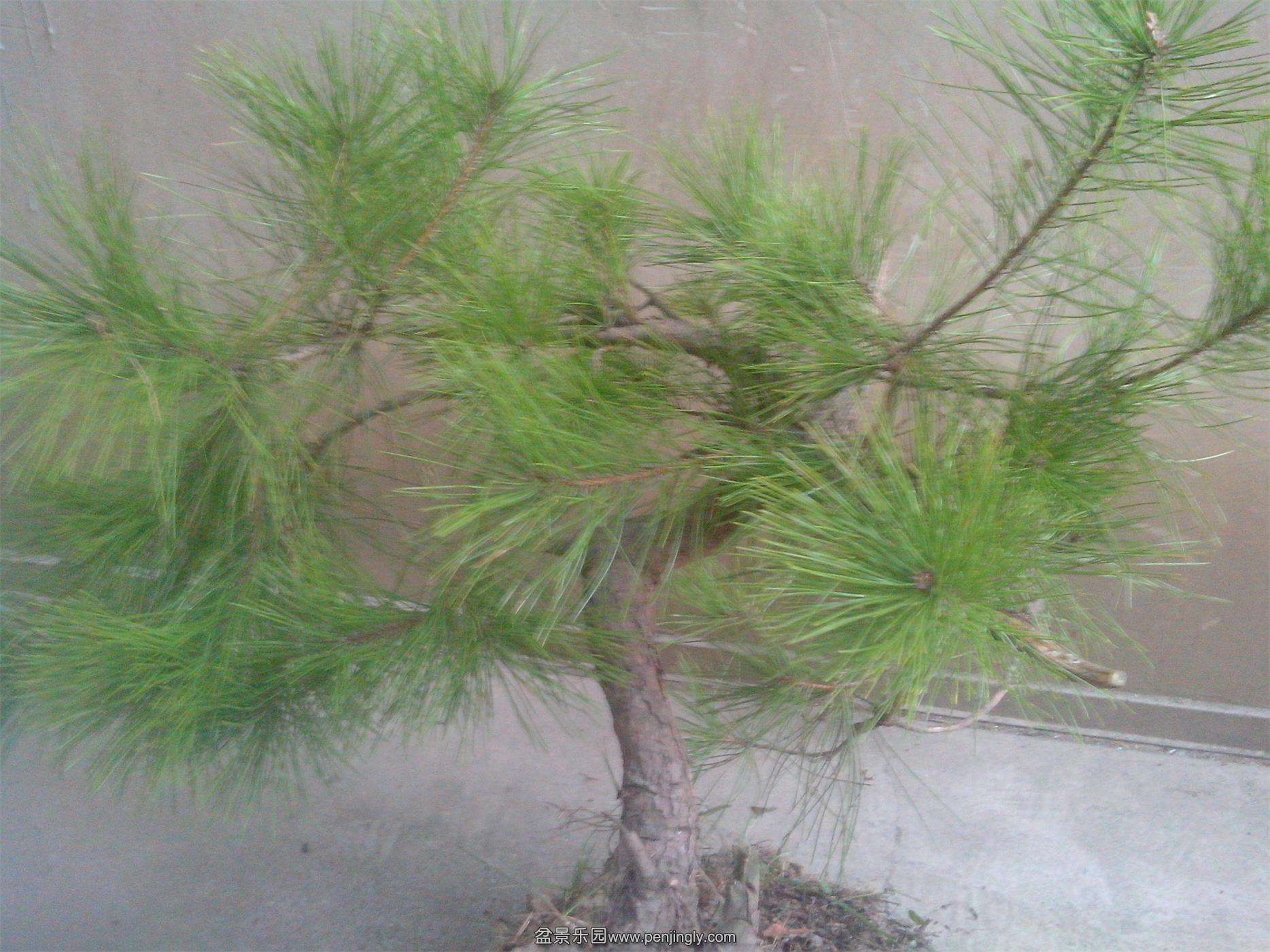 IMG20141112012.jpg